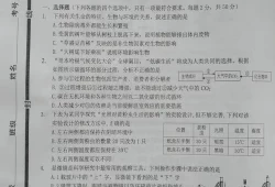 初一生物期中考试试卷分析总结(期中考试总结与反思)