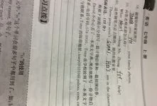 我的勇气来自你作文500字初一上册