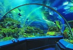 成都水族馆的门票价格(成都最大的水族馆在哪里)