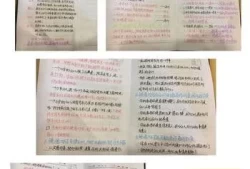 幼儿园教育笔记中班(中班《分享真快乐》教育随笔)