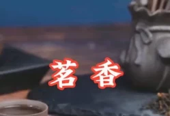 茗香是什么意思(茗香的含义和寓意和象征)