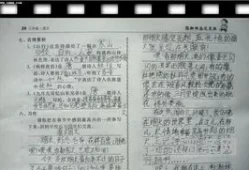 寒假生活的作文300字(我的伙伴作文300字)