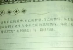 蜗牛快递作文250字(蜗牛快递员的人物评价)