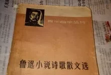 鲁迅小说集散文集的内容总结概括(鲁迅散文集包括哪些)