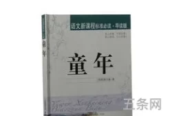 童年读书笔记500字左右(童年读书心得100字)