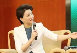 杨澜谈孩子(杨澜两段婚史)