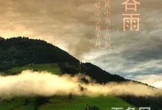 谷雨的寓意和象征(谷雨的文化内涵)