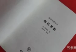 易经术数有哪些数字(易经数字对照表)