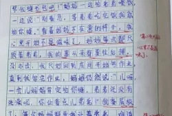 我的梦想作文600字(以《我的梦想》为题作文)