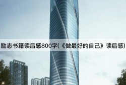 励志书籍读后感800字(《做最好的自己》读后感)