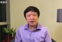 网友批评胡锡进(胡锡进近乎日均消失一条微博)