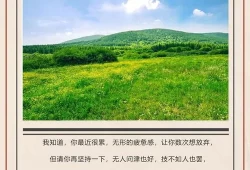 充满阳光的昵称带符号(一路向阳网名带符号)